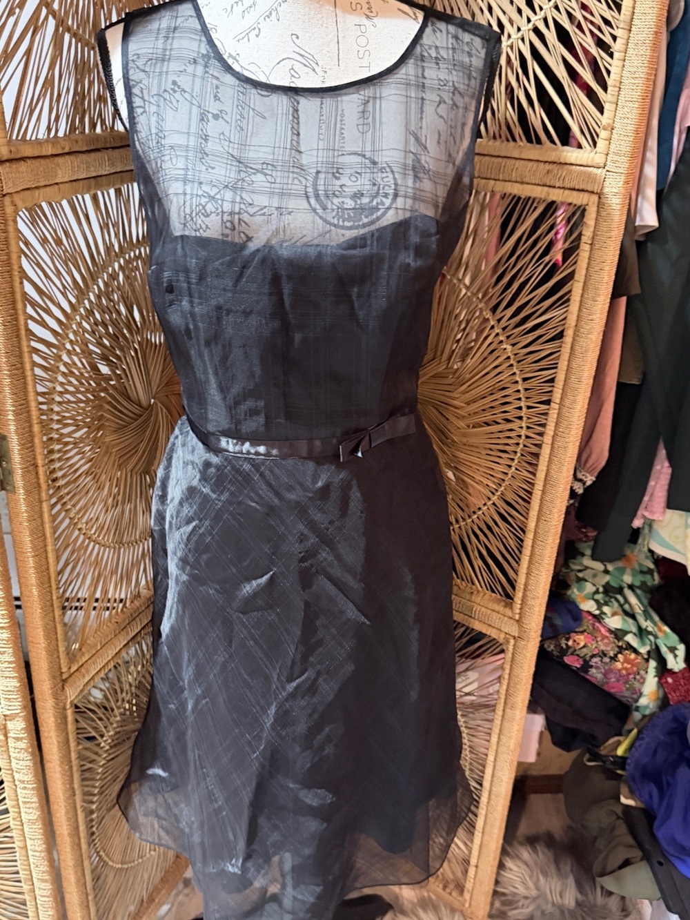 Express Black Sleeveless Sheer-Yoke Midi Dress